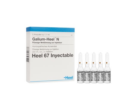 Galium Heel N Ampolla 1,1ml