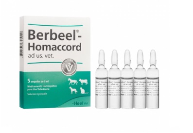 Berbeel Homaccord ad us vet ampolla x5ml