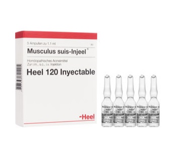 Musculus Suis Injeel Ampolla 1,1ml