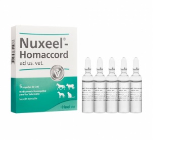 Nuxeel Homaccord ad us vet Ampolla 5ml