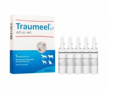 Traumeel LT ad us vet ampolla 5ml