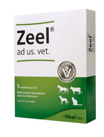 Zeel ad us vet Ampolla 5ml