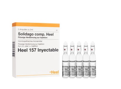 Solidago compositum heel ampolla 2ml