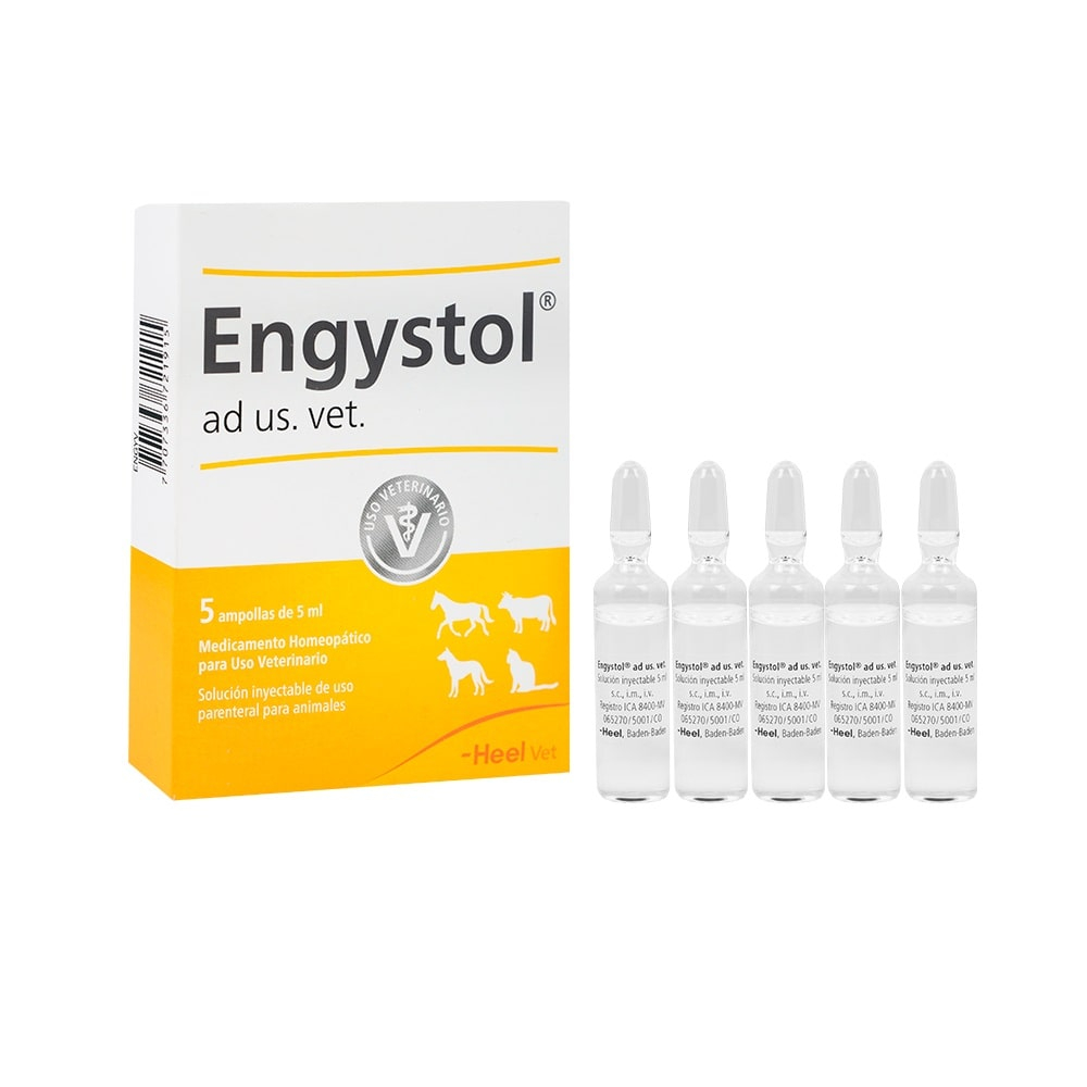 Engystol ad us vet Ampolla 5ml