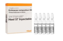 [HEELECHI5AN] Echinacea Compositum Ampolla 2,2ml